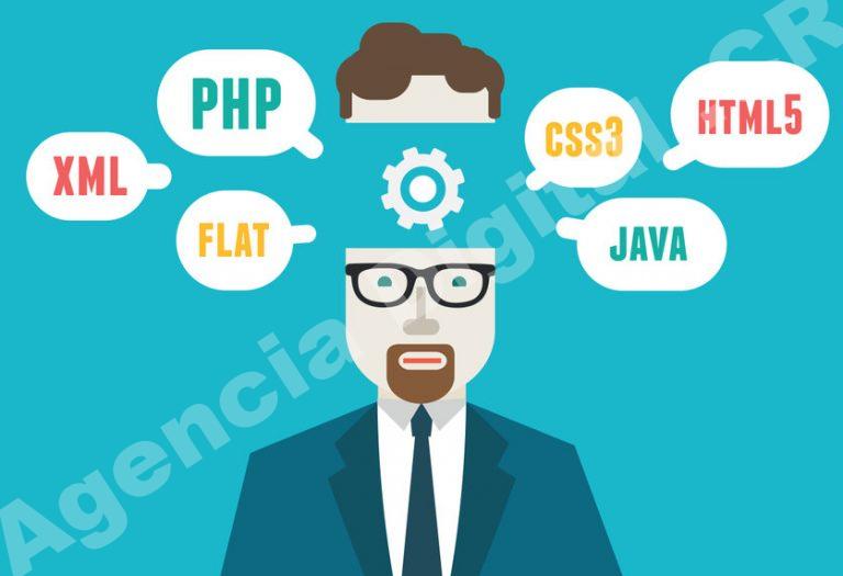 Desarrollo web y tecnología: desarrollo web para empresas en Costa Rica