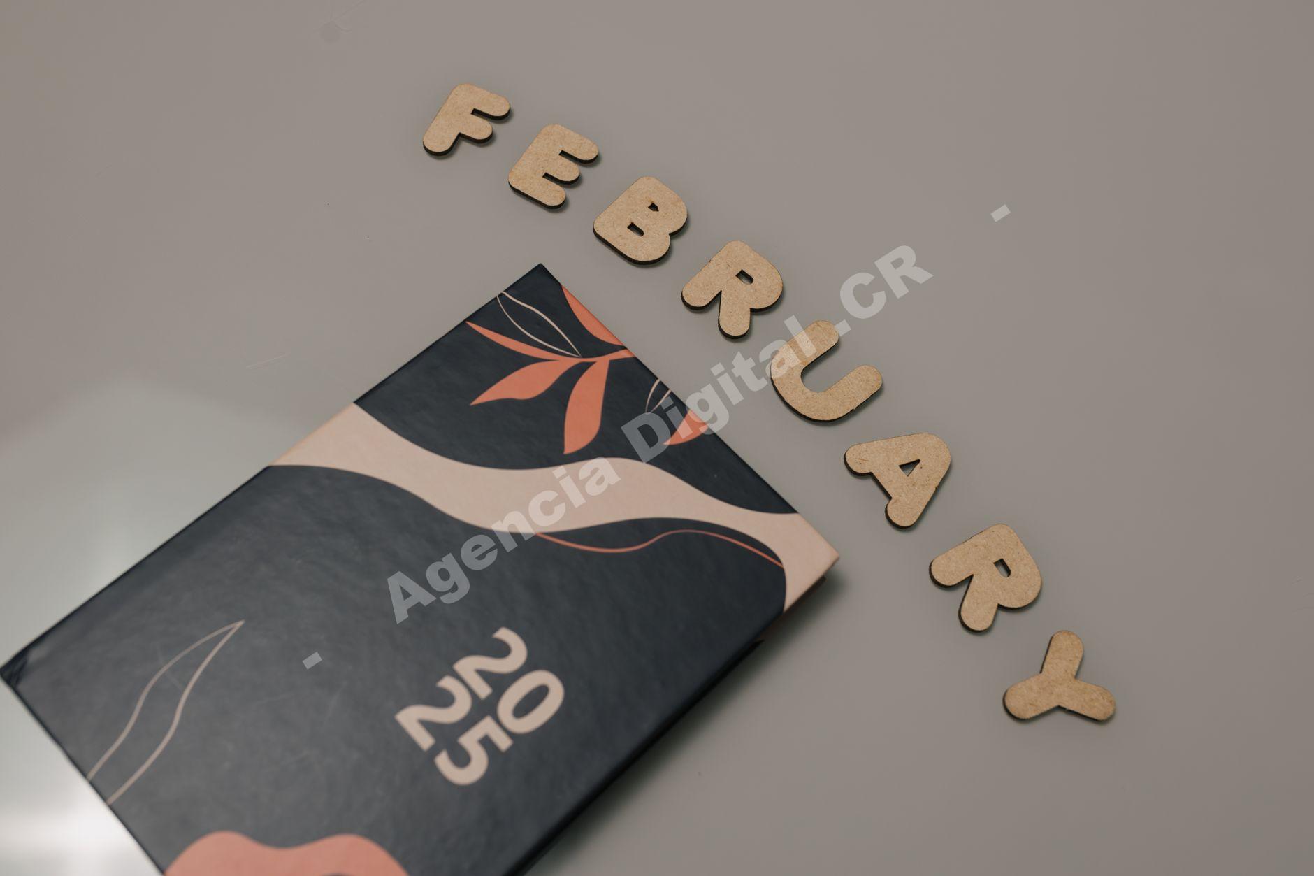 Diseño gráfico y branding: diseño gráfico Canva para empresas en Costa Rica