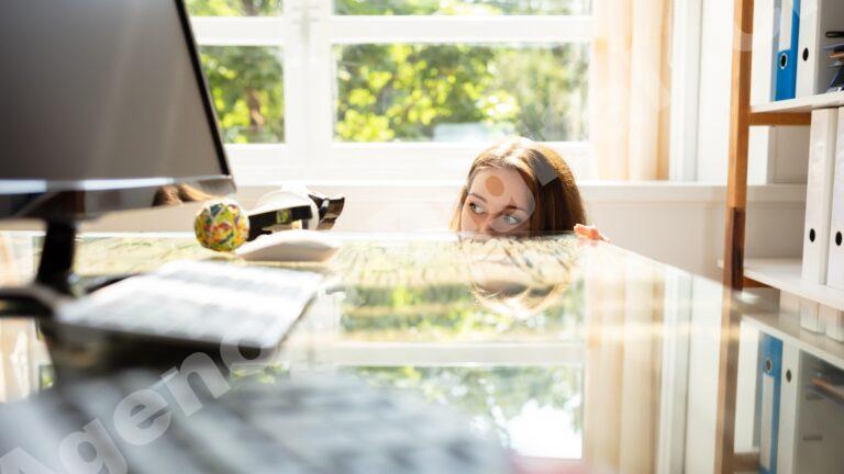 Guía de Publicidad online y pauta digital — publicidad web | Costa Rica