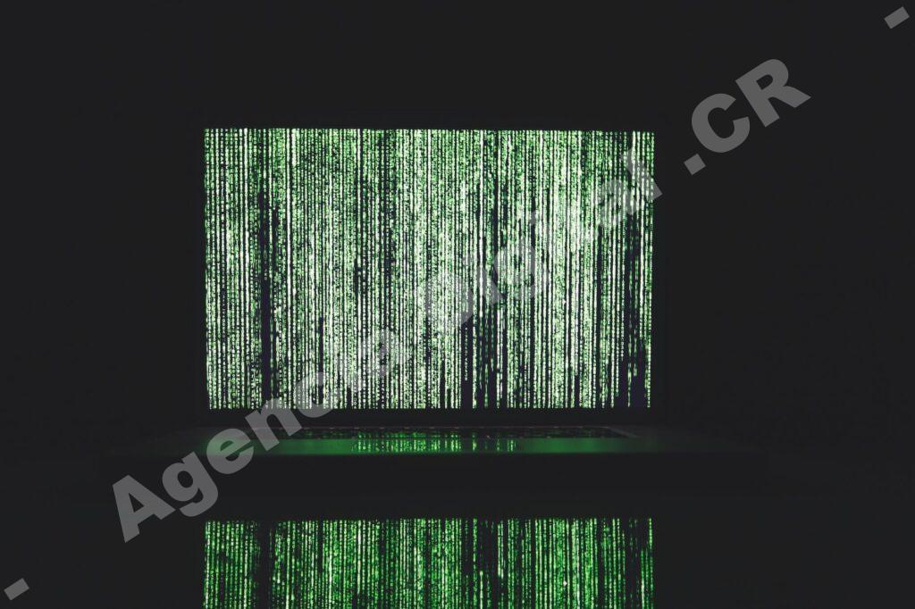 Guía de Ciberseguridad empresarial — DDoS pymes | Costa Rica