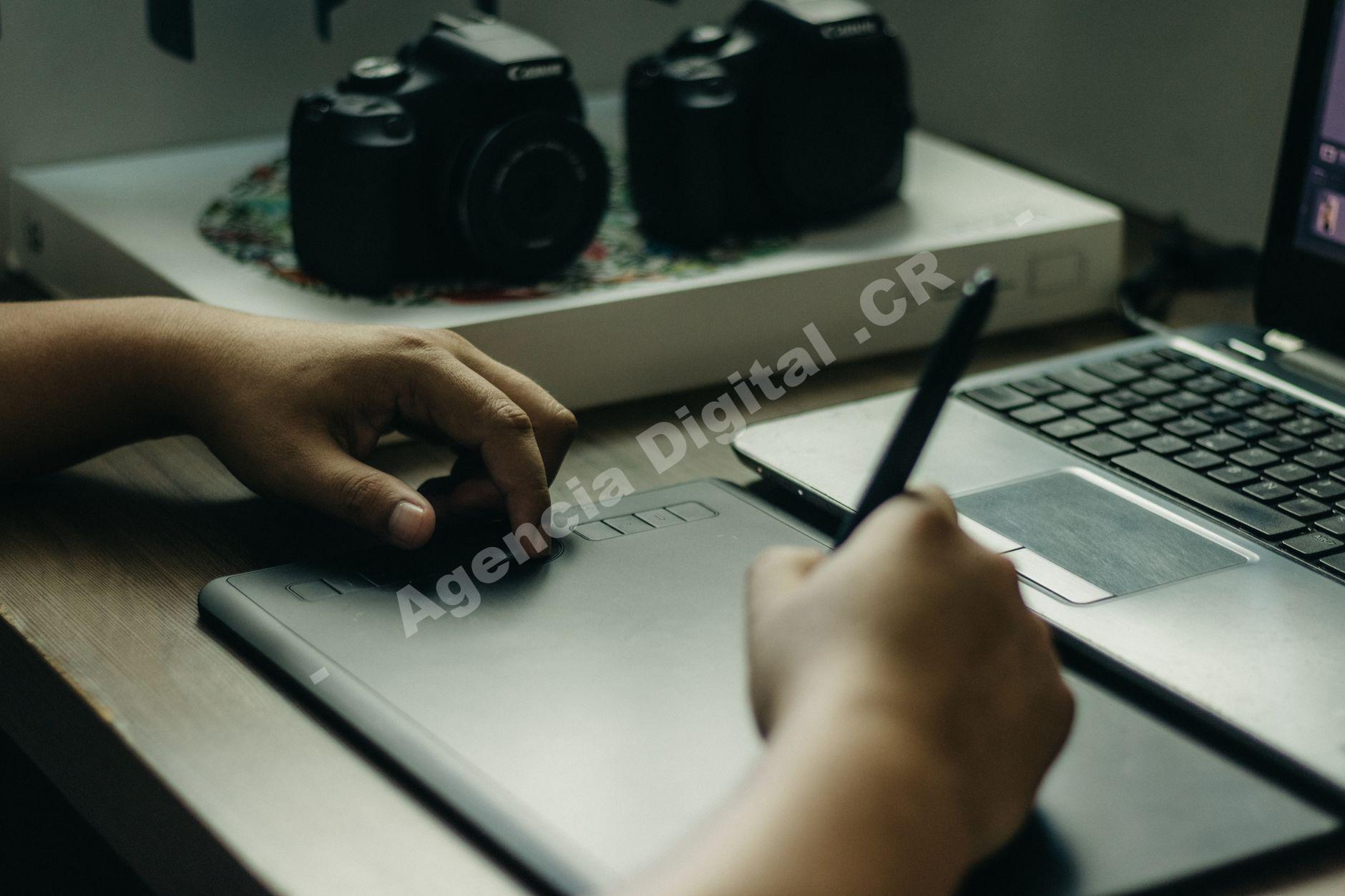 Fotografía comercial y de producto: fotografía veterinaria para empresas en Costa Rica