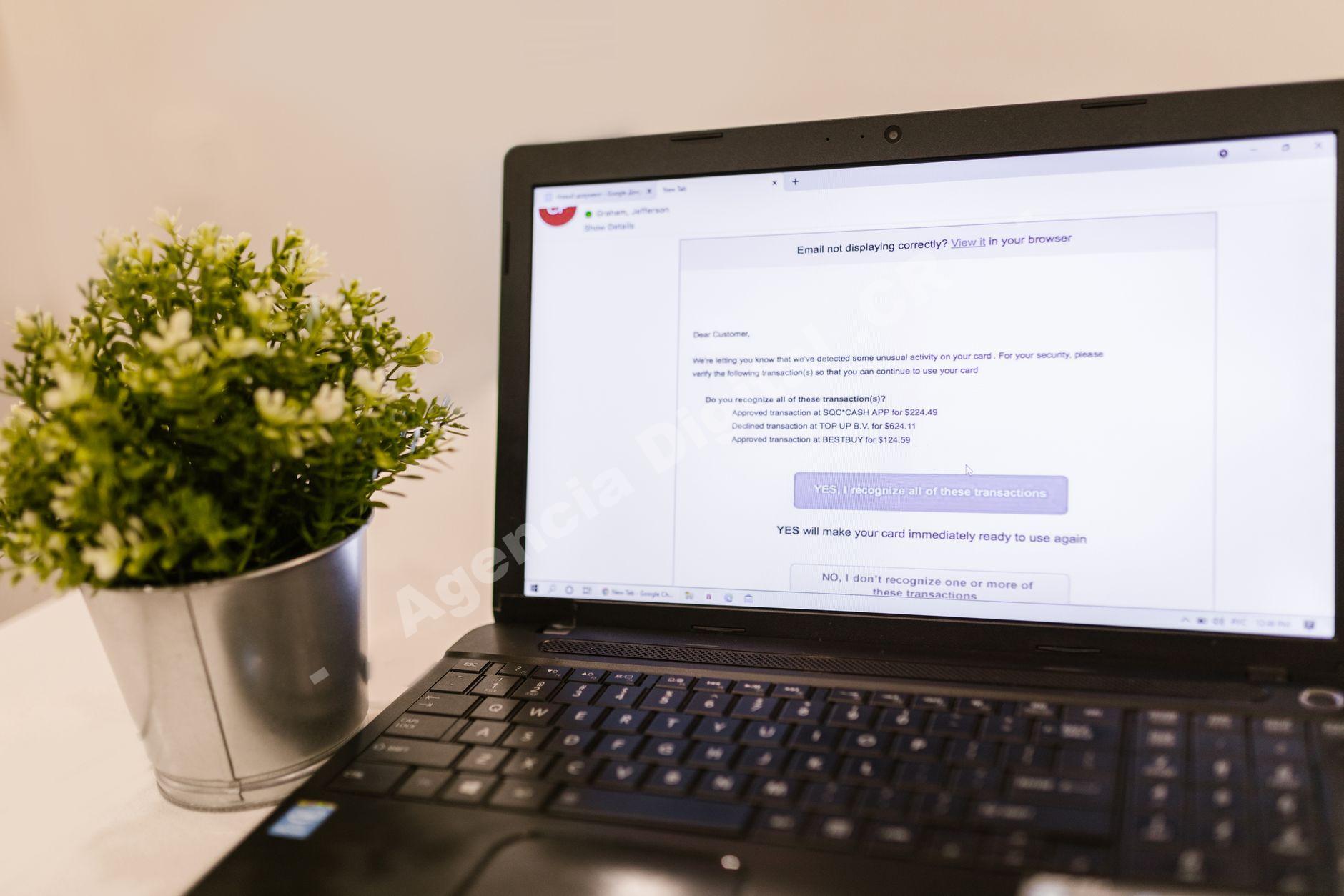 Email marketing empresarial: email marketing first party data para empresas en Costa Rica