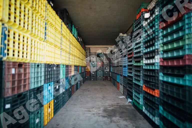 Imagen de negocios en agroexport