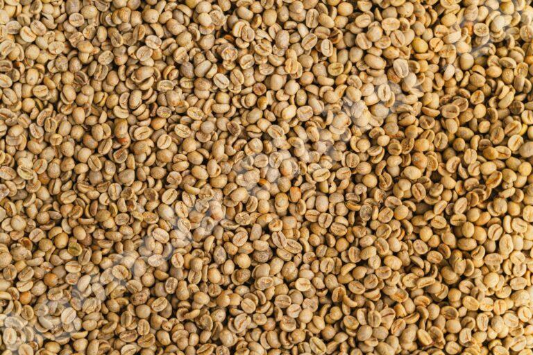 Negociación en el mercado agroexportador