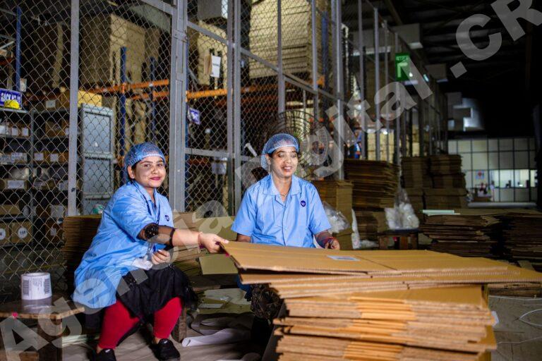 Equipo de logística gestionando retrasos en envíos