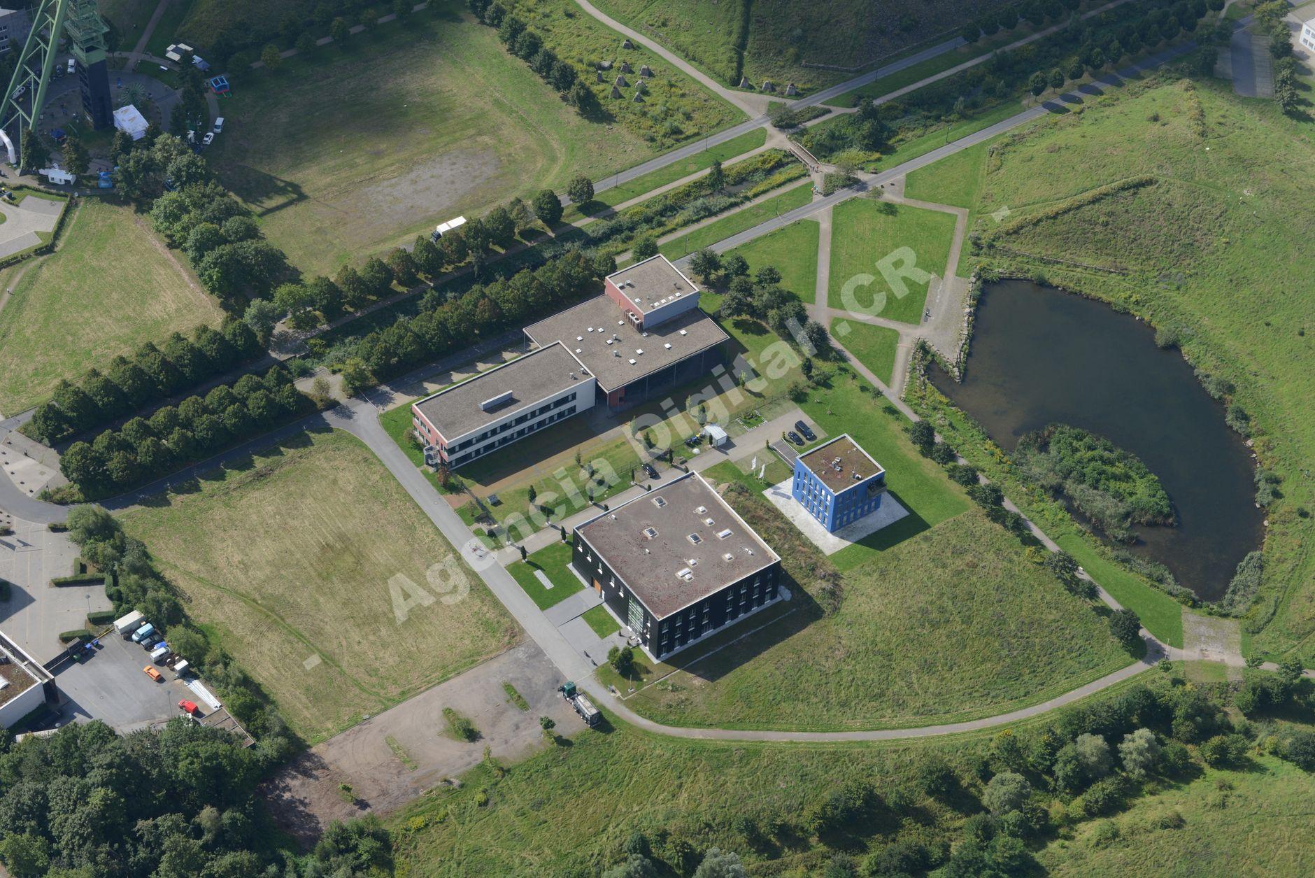Equipo de trabajo en una zona franca optimizando procesos