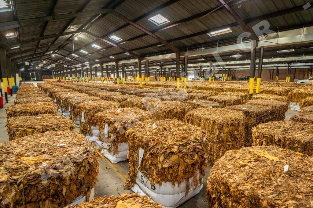 Humanización de marca agroindustrial