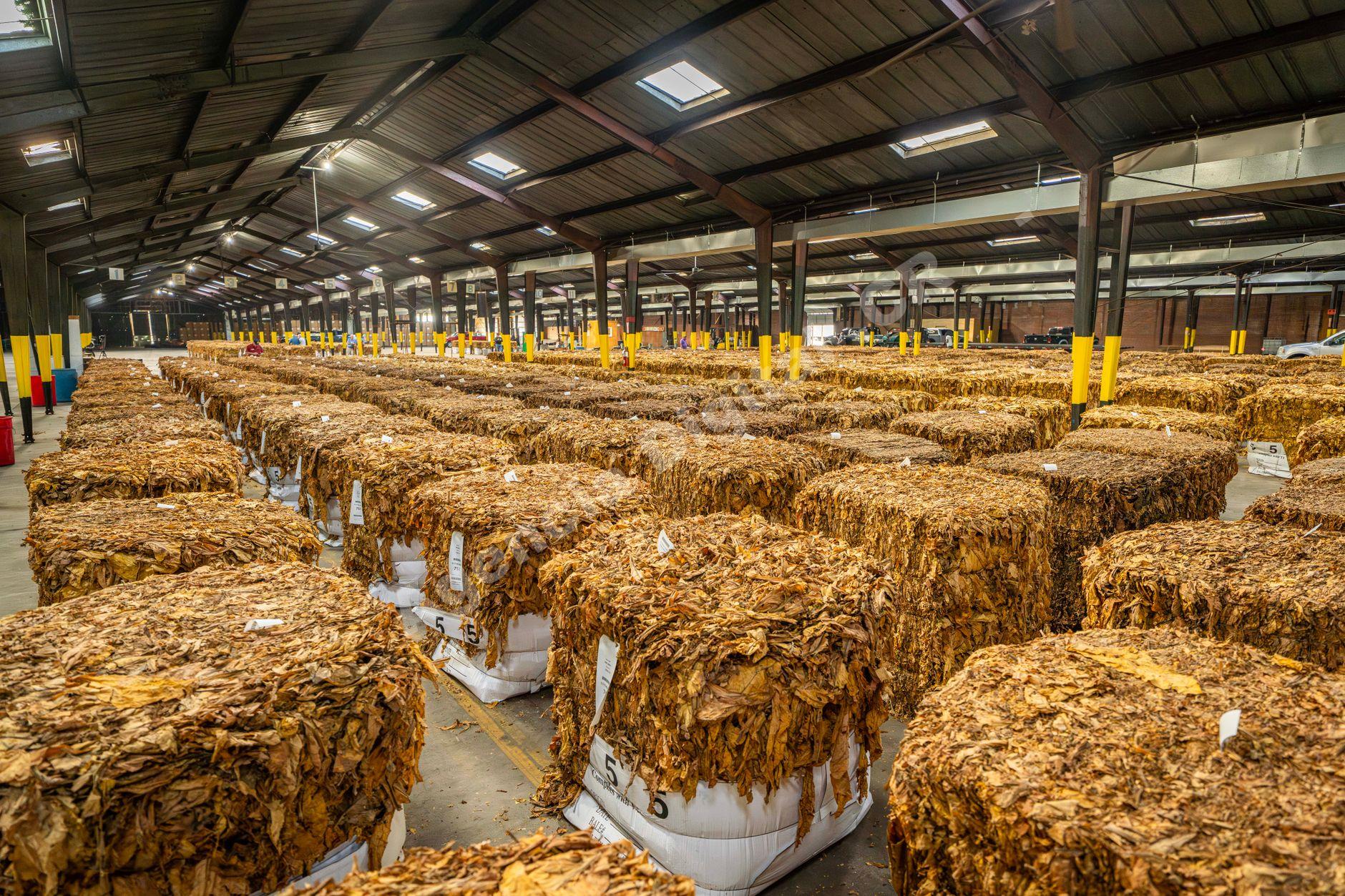 Humanización de marca agroindustrial