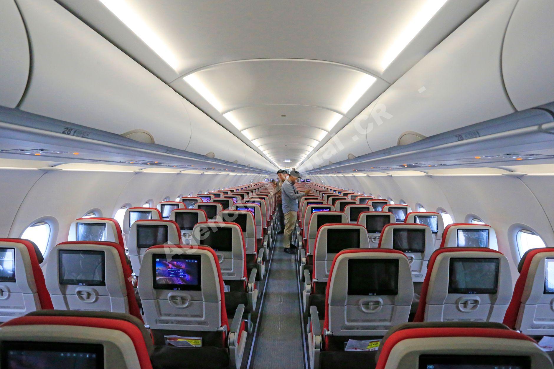 Pasajeros disfrutando de un vuelo en avión