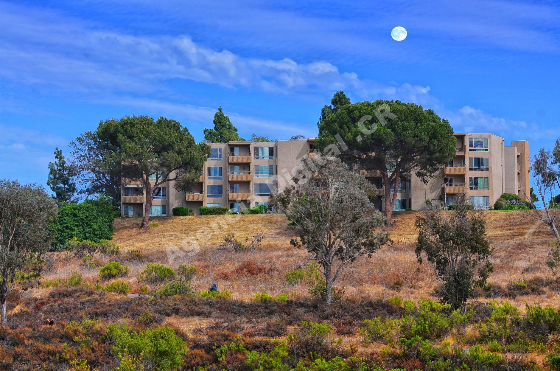Imagen de compradores interesados en un proyecto inmobiliario
