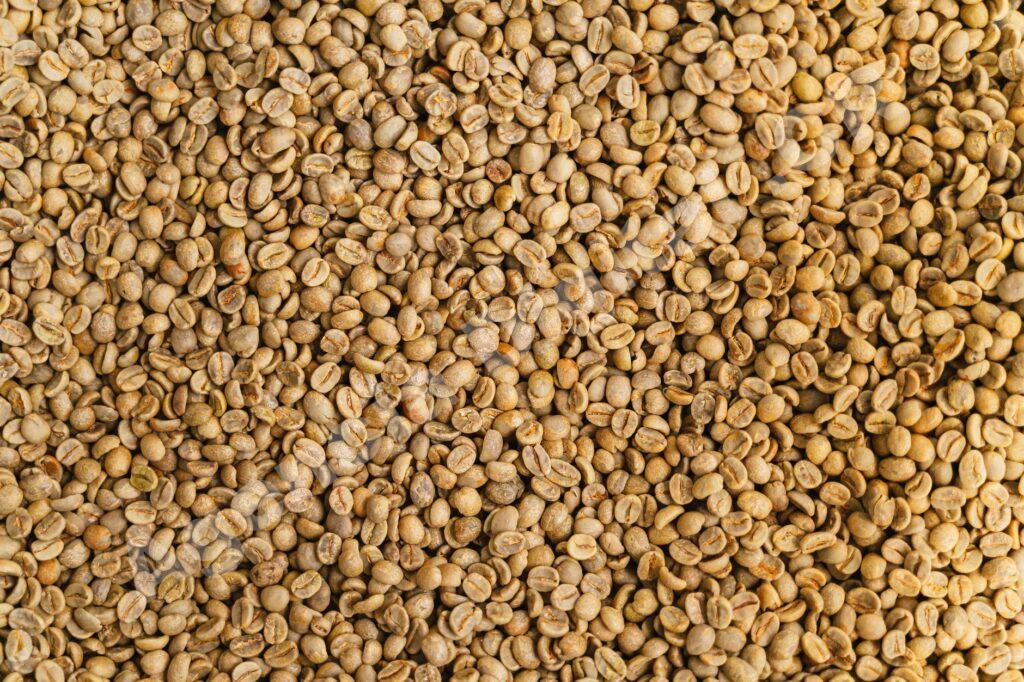 Importador revisando opciones de proveedores agro