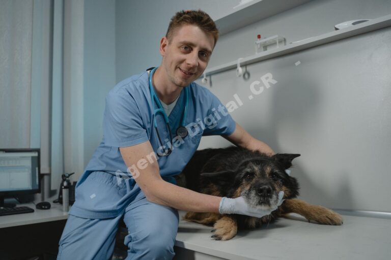 Cómo vender planes de bienestar en tu veterinaria