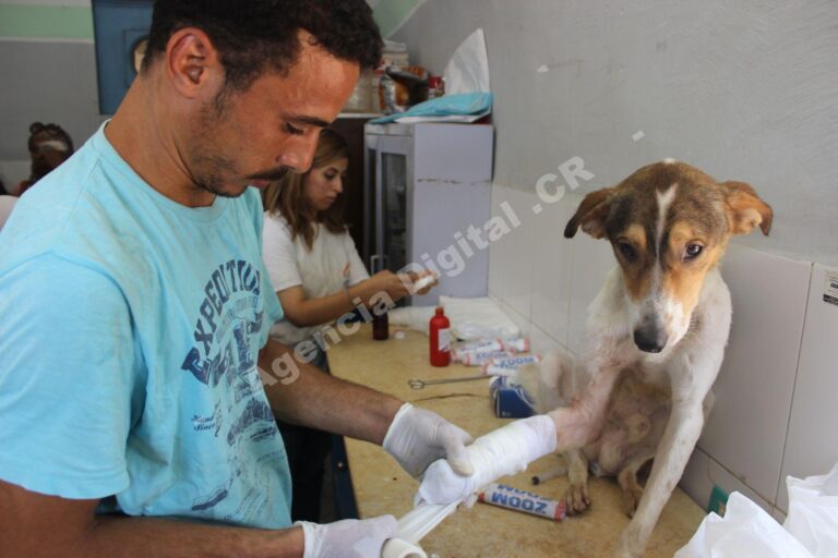 Cómo conseguir más clientes para tu clínica veterinaria